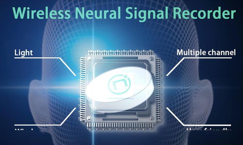 Neuramatrix完成數百萬美元Pre-A輪融資，經緯中國領投，加速國內貿易代理業務布局