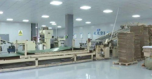 補(bǔ)齊產(chǎn)業(yè)鏈,助力產(chǎn)業(yè)發(fā)展丨水城縣農(nóng)投集團(tuán)包裝廠建成